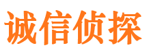 双台子调查公司